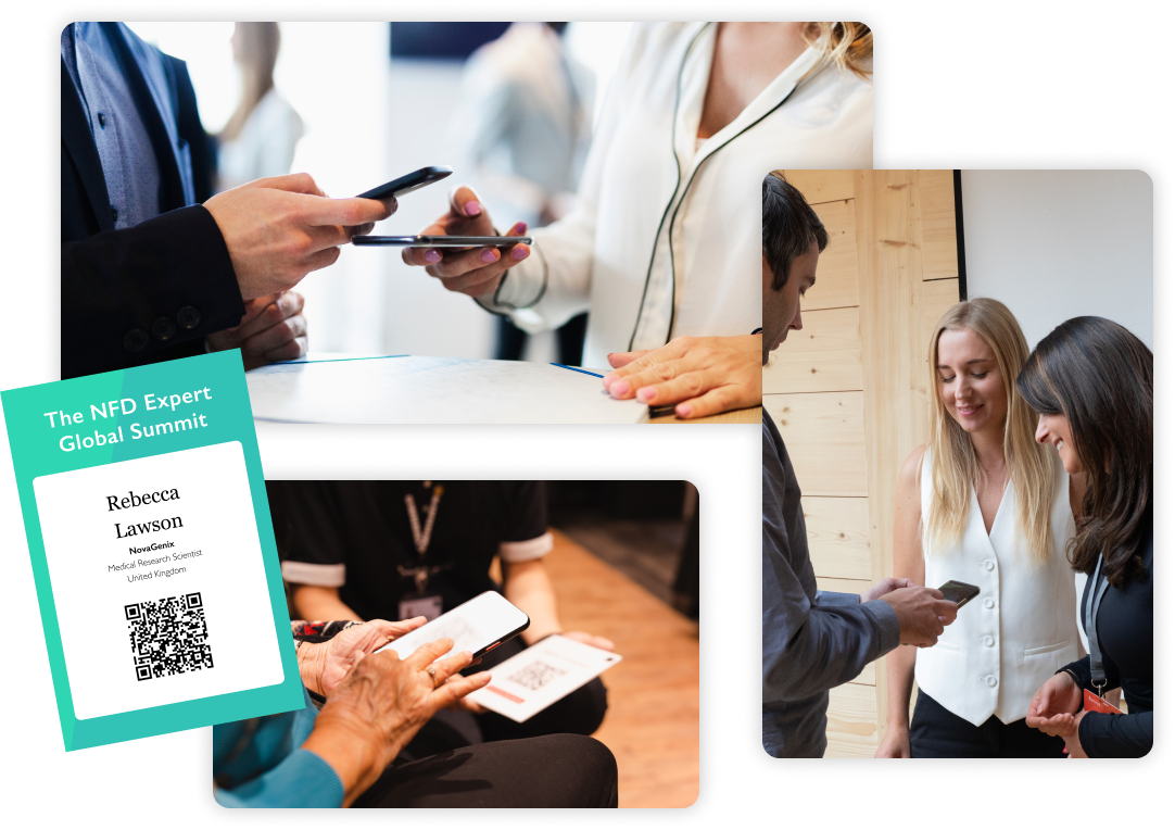 ssection 6 visual professional services page